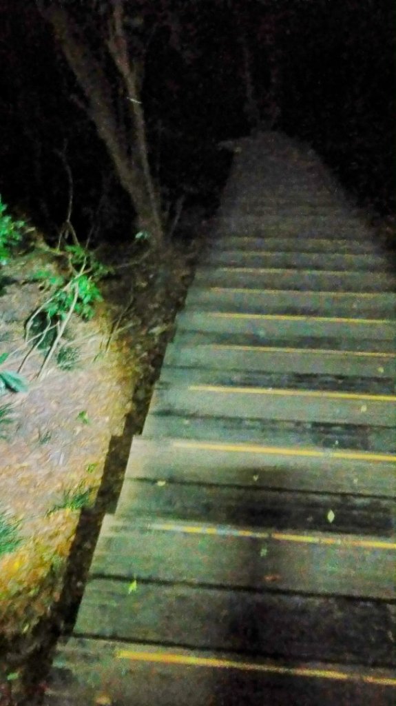 高雄柴山夕陽夜景_2770715