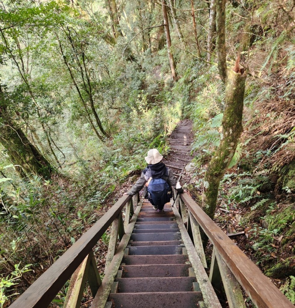 【中級山】谷關七雄八仙山_2745041