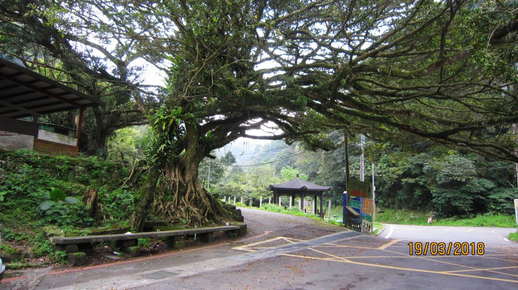 再訪 ~ 筆架山連峰 !_293973