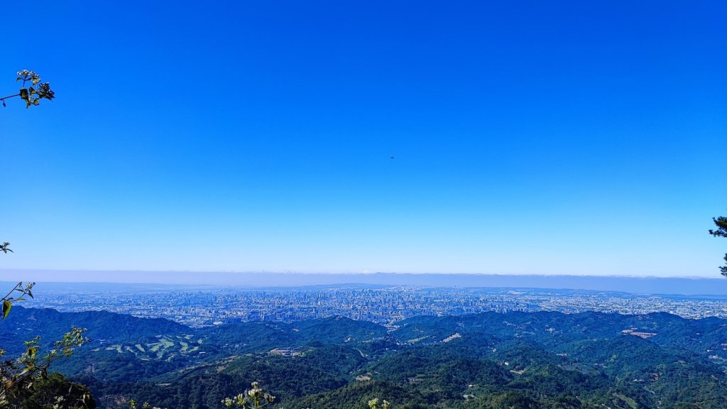 大坑五號步道、5-1號步道、頭嵙山_2668179