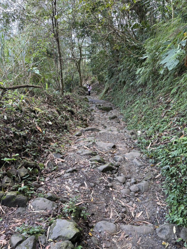 20250830台南關仔嶺大凍山步道_2914701