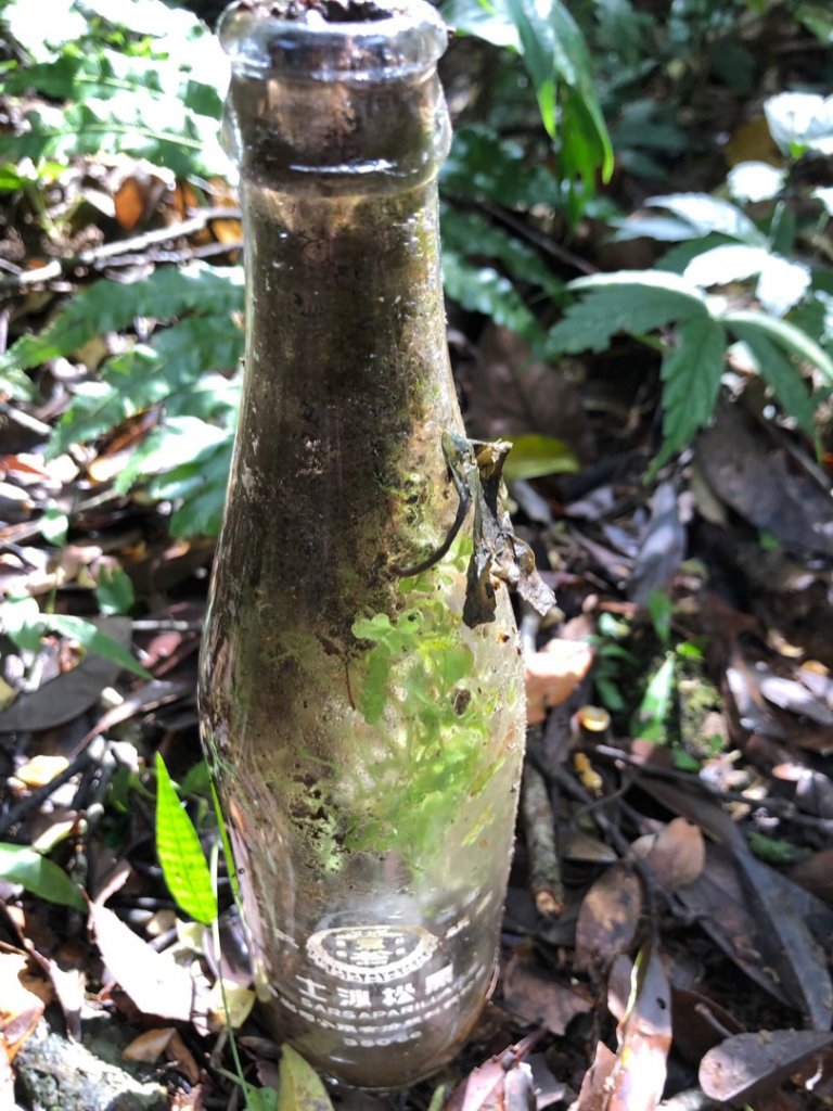 四崁水山、大桶山_1661799