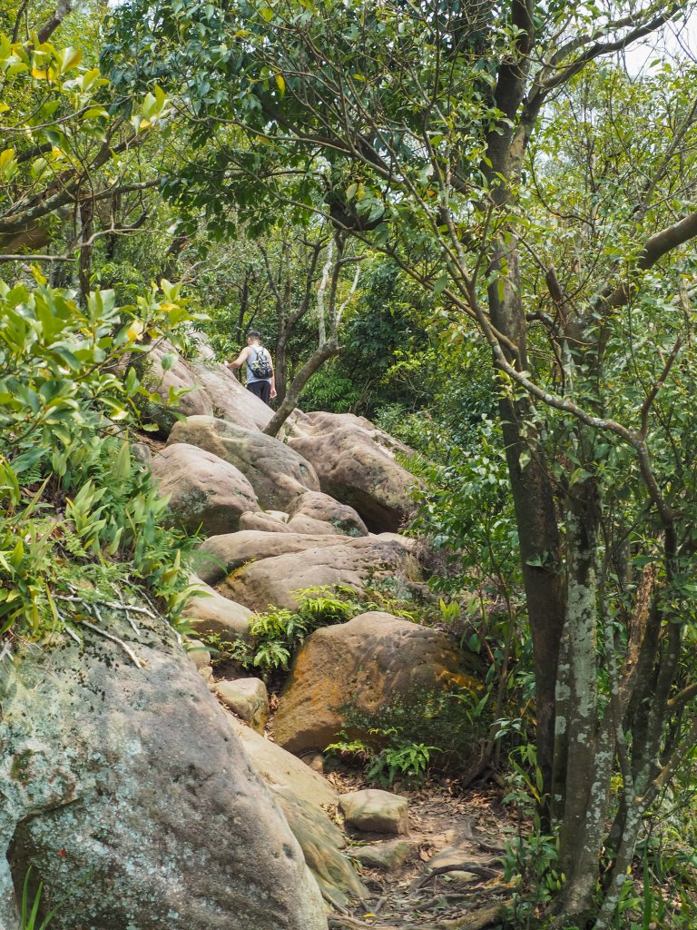 [台北]內湖金面山_564088