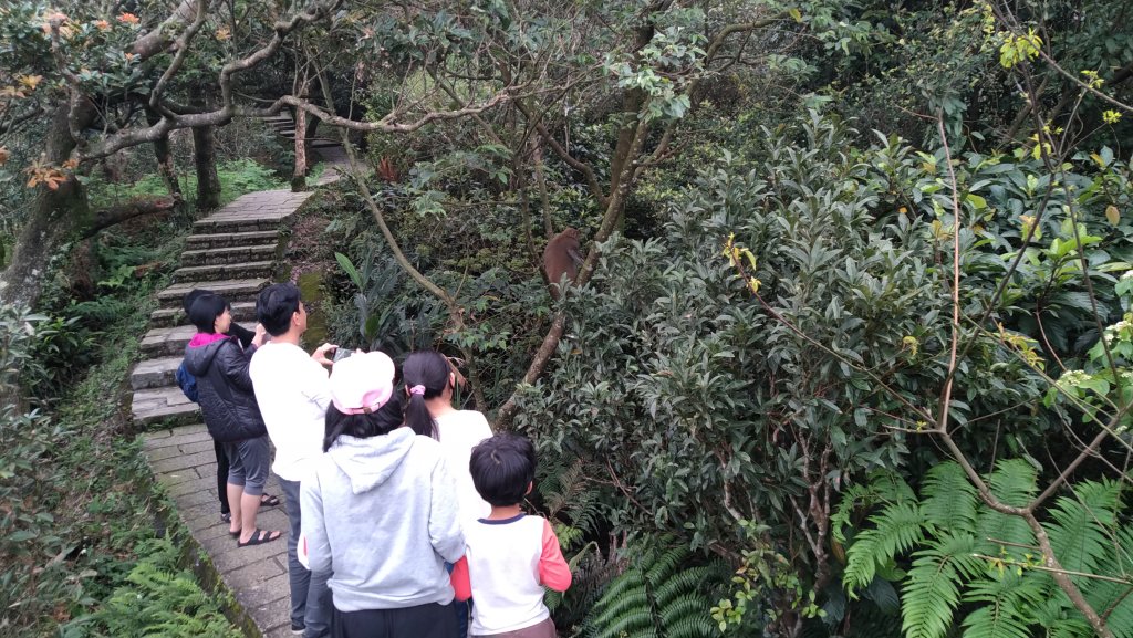 2020.2.28大尖山步道之旅_1411193