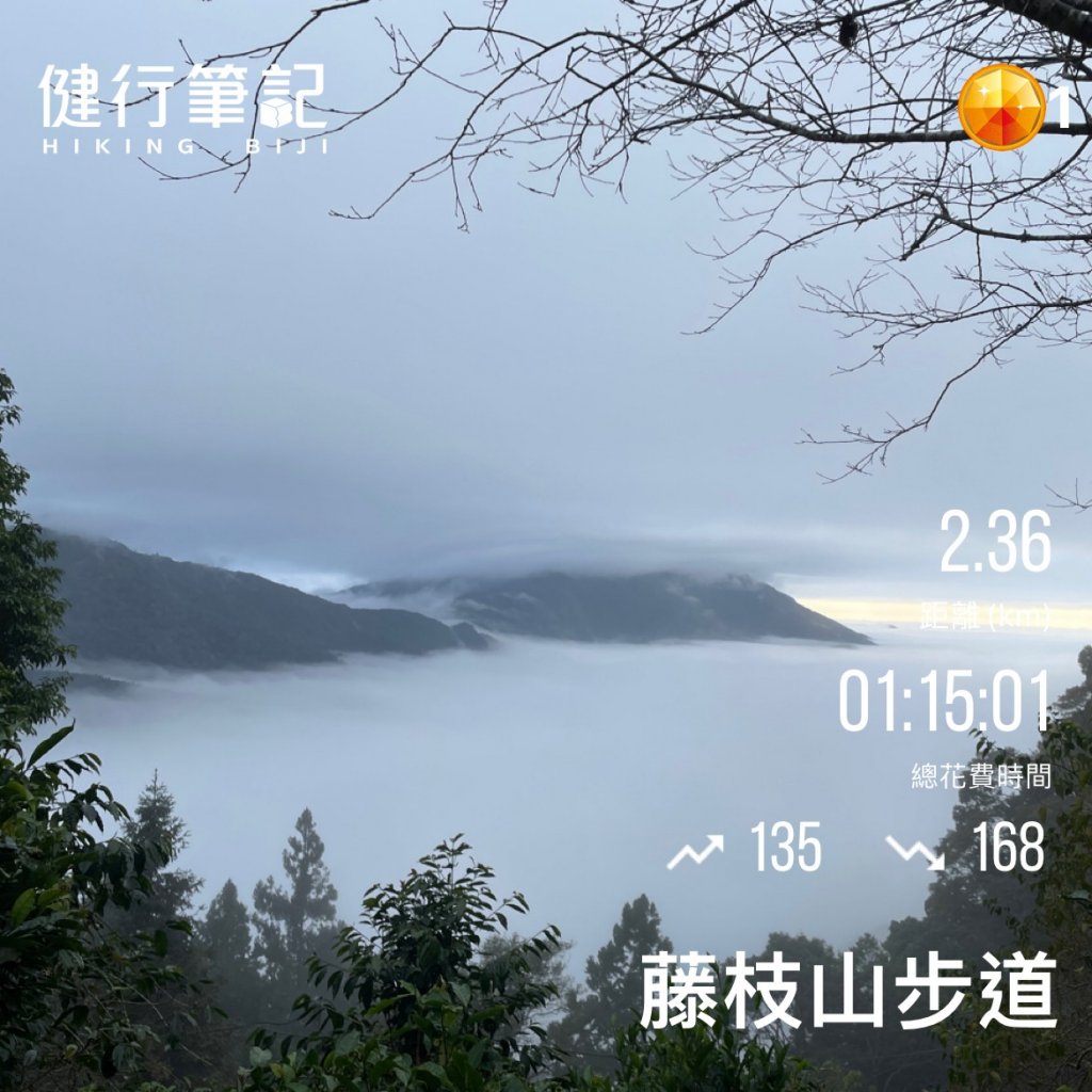 小百岳(68)-藤枝山-20221218_2053092