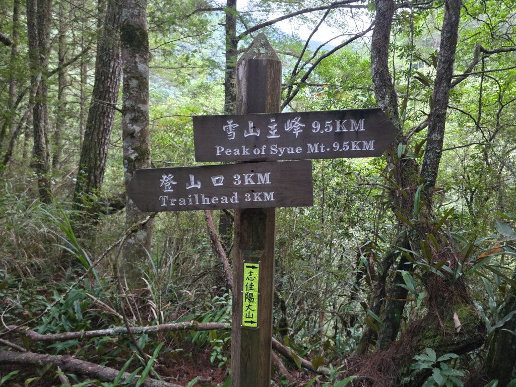 20240927 志雪劍_2614860