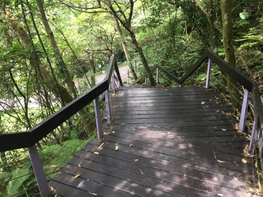 百吉林蔭步道_376592