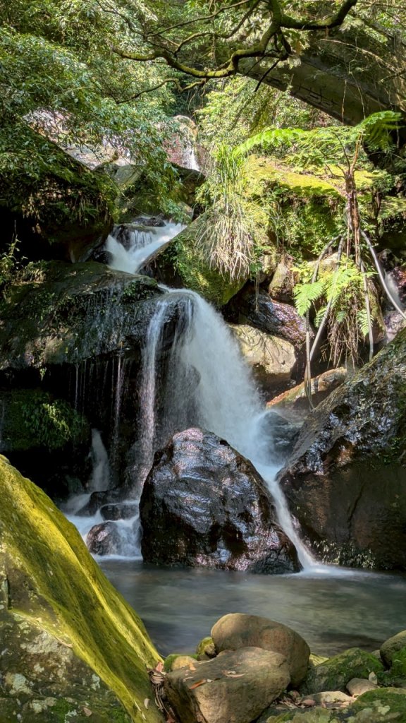 114.04.27草山觀瀑吊橋-紫明溪步道之旅_2771784