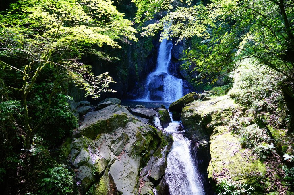 大霸群峰 ｜百岳之路II_1000985