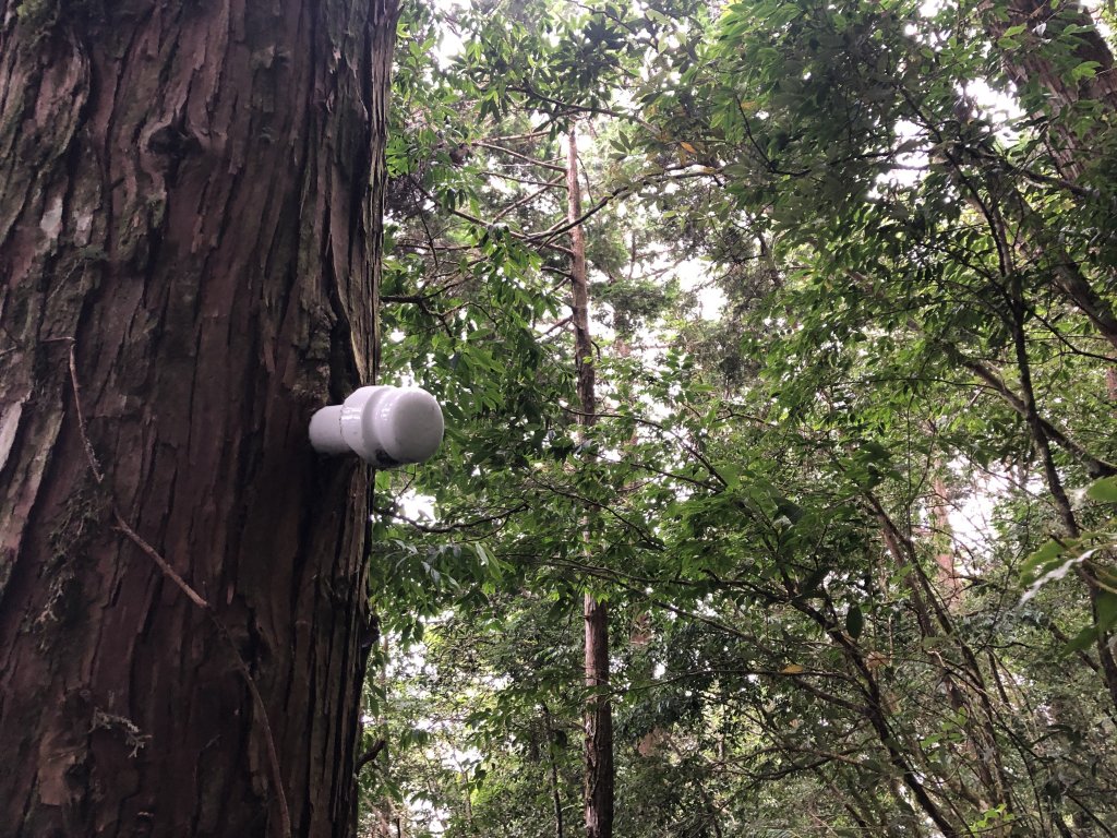 宜蘭 四季 加羅湖_633983