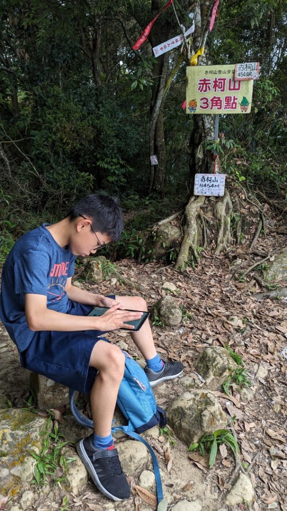 赤柯山 東獅頭山_2501621
