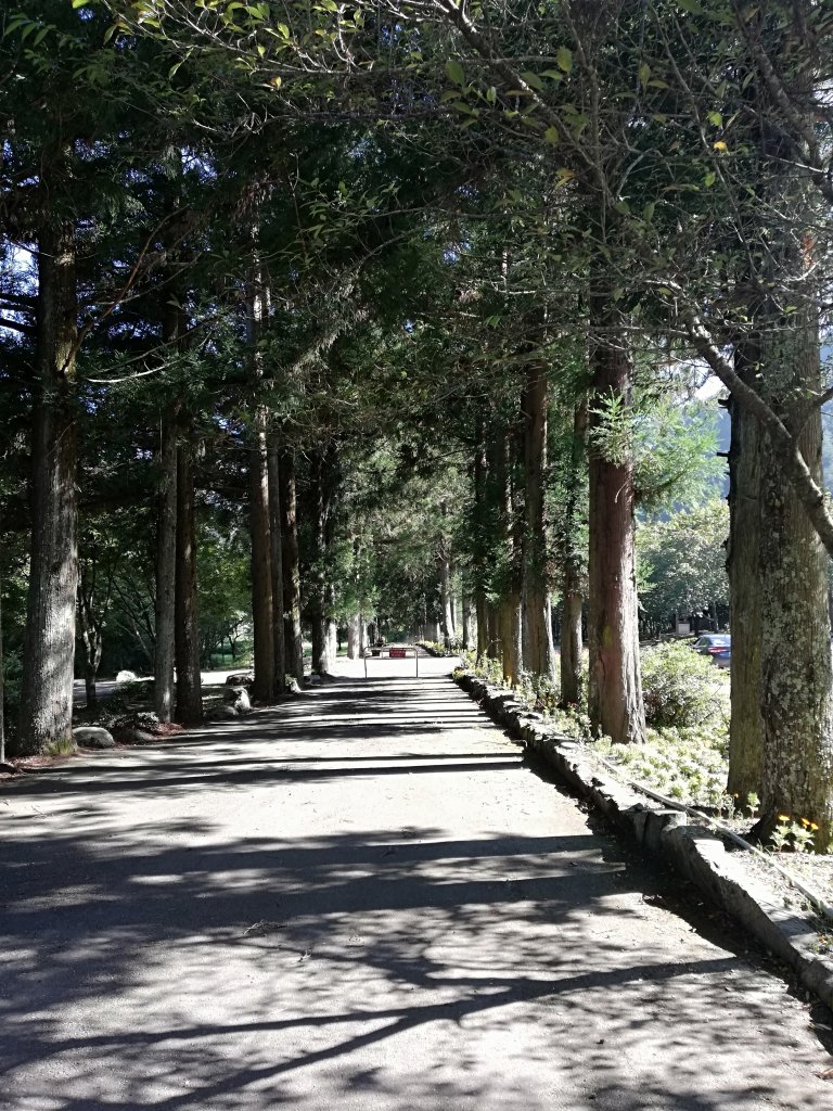 武陵很美，一路走來更美_631633