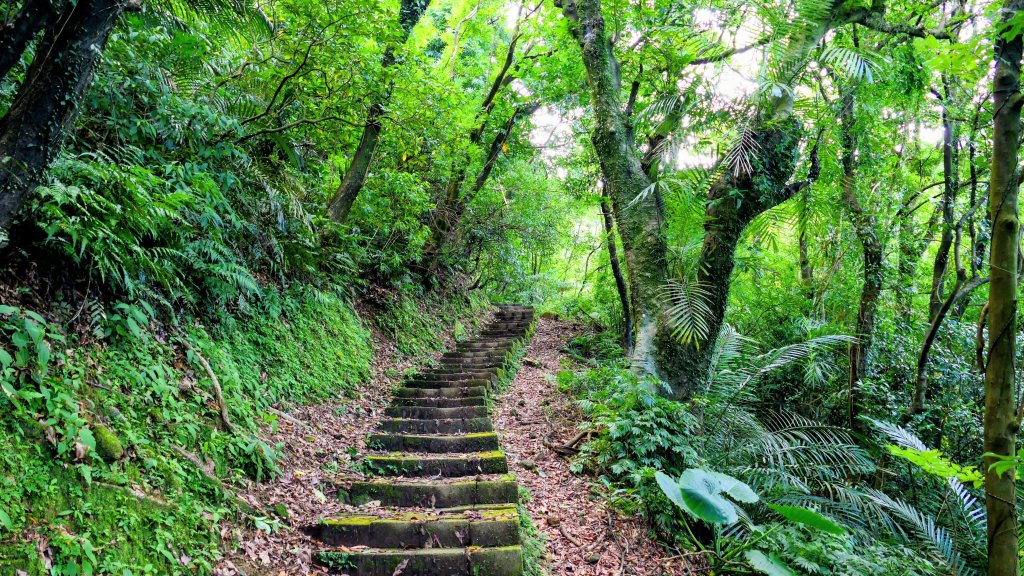 寂寞公路_2894996