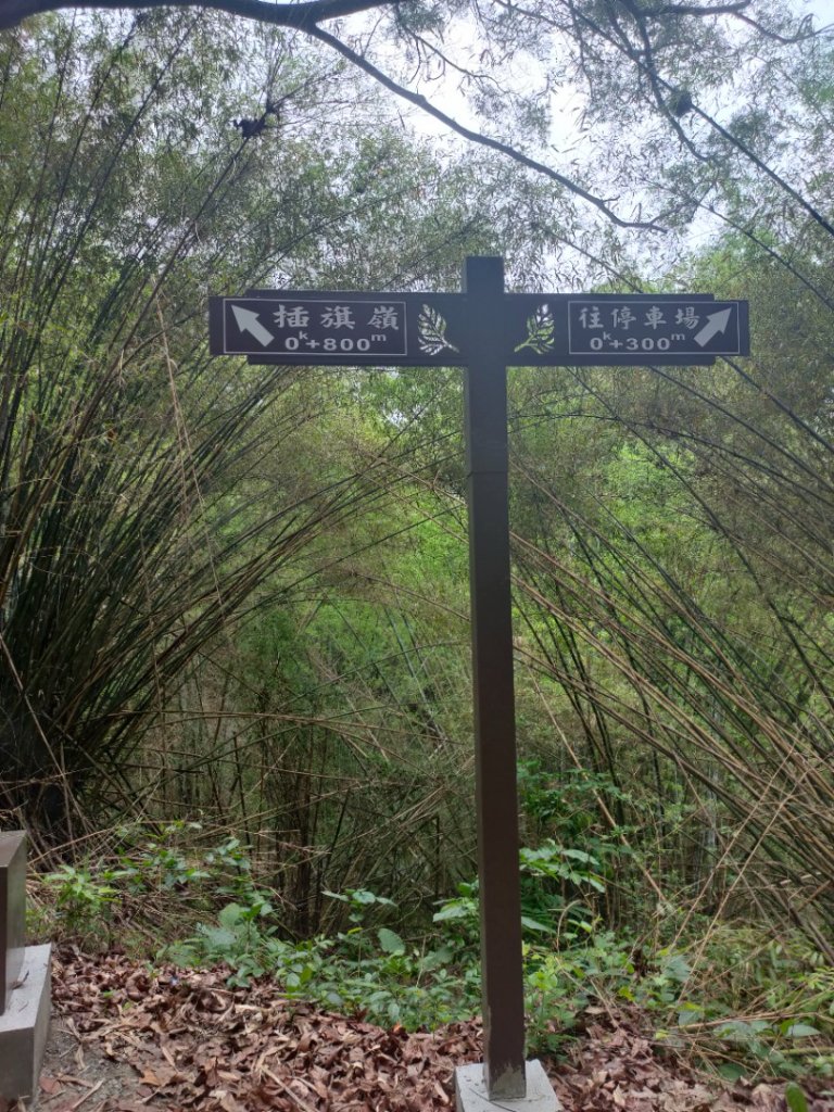 林安森林步道封面圖