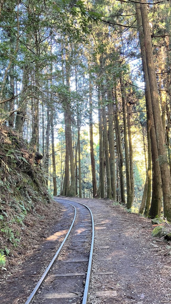 2024.12.29 特富野古道_2720692