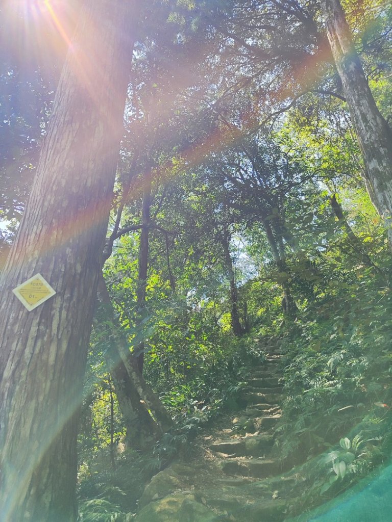 八仙佳保_2746077