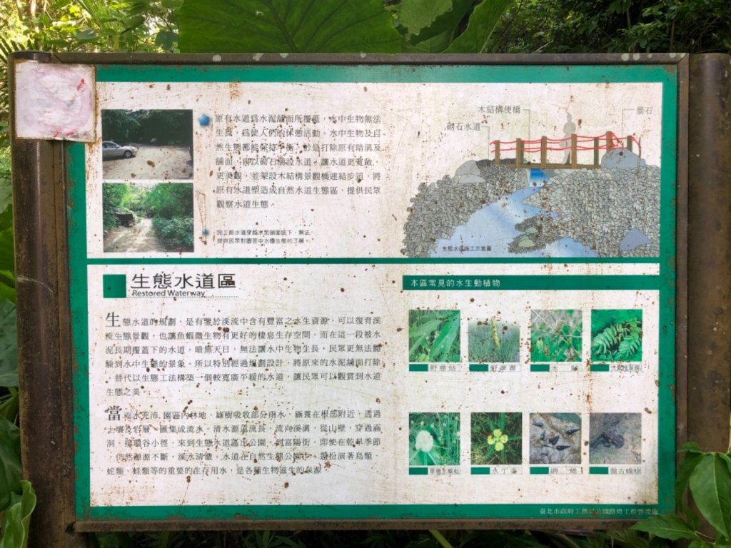 2019-08-10富陽公園、福州山_656070