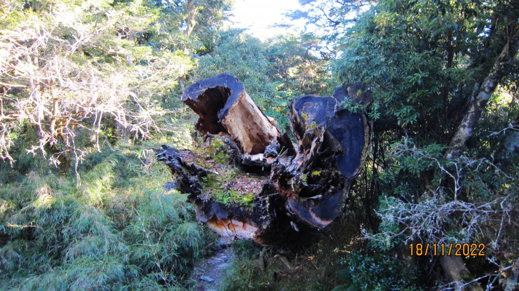 白姑大山 - 障礙連連 嗆辣迷人！_1923481