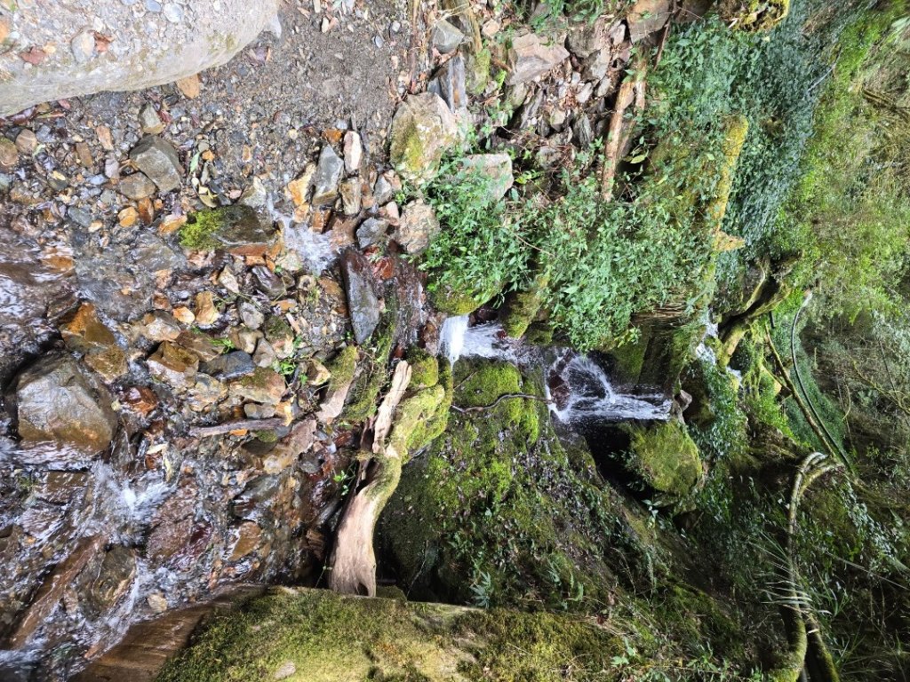 郡大神木群一日行_2440568