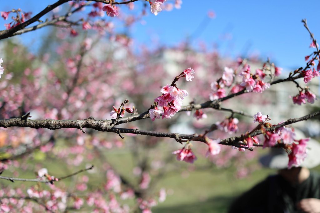 內溝山、老鷲尖山_2727529