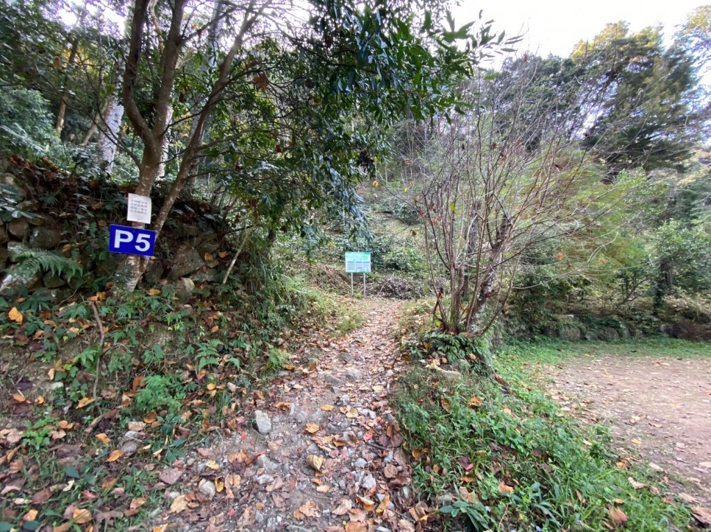 唐麻丹山-松鶴上三角點O型回松鶴_2378353