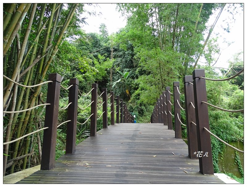 大坑/頭嵙山(小百岳)_631504