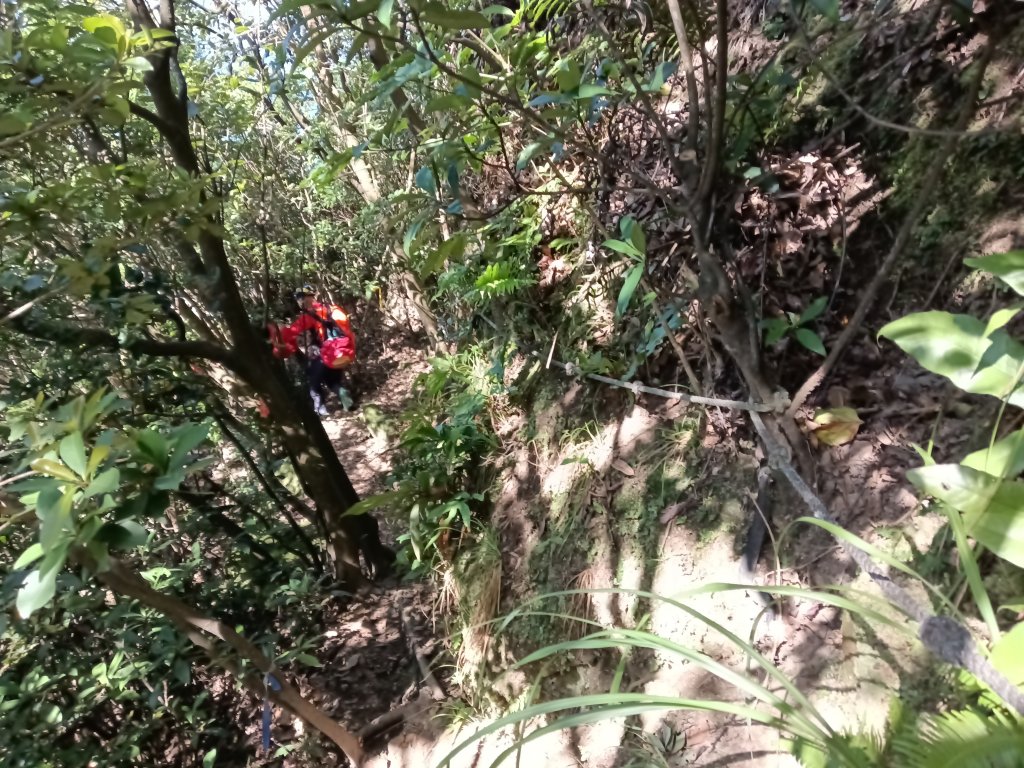 貢寮區龍洞坑古道+苦苓嶺+南雅山+海園古道O型_2954706