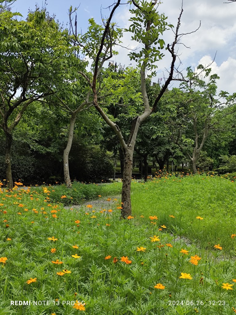 大安森林公園【走路趣尋寶】【臺北健走趣】_2536166