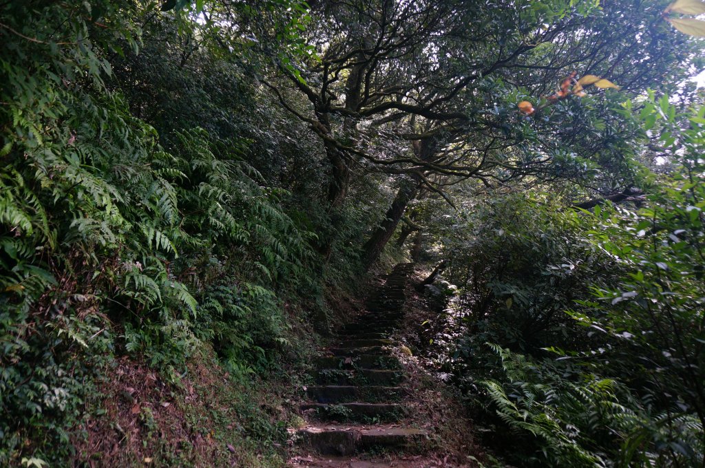 向天池、向天山、面天山連走_1462102