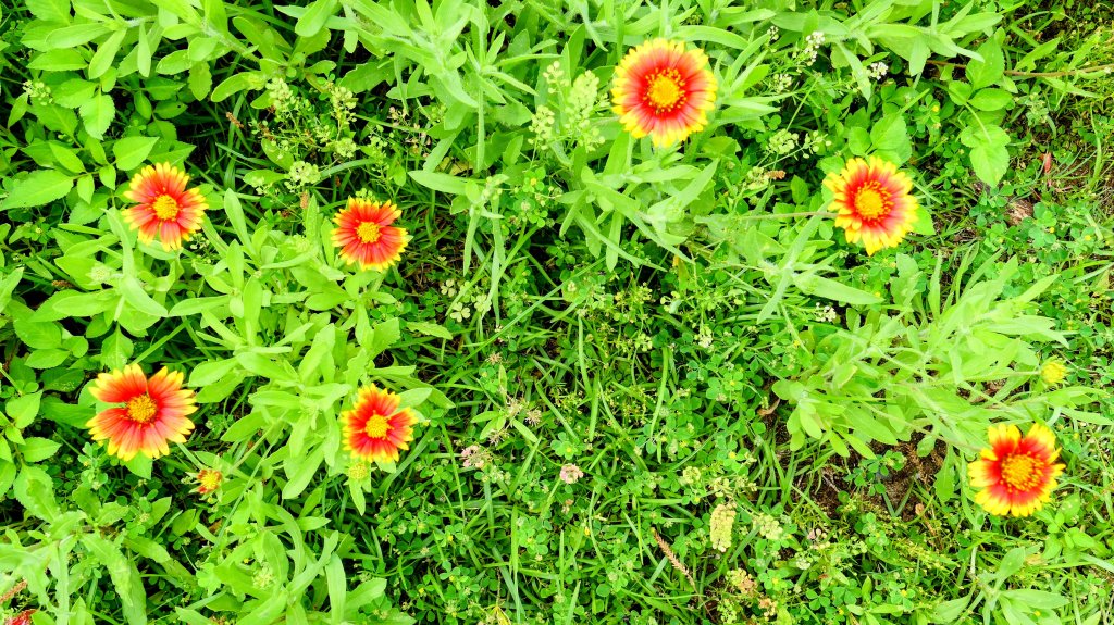 北海岸。良率_2783448