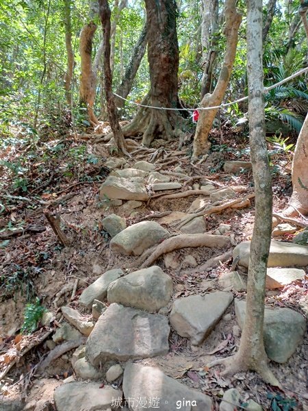 【屏東獅子鄉】海天一色。 台灣百大必訪步道~里龍山自然步道_2550785