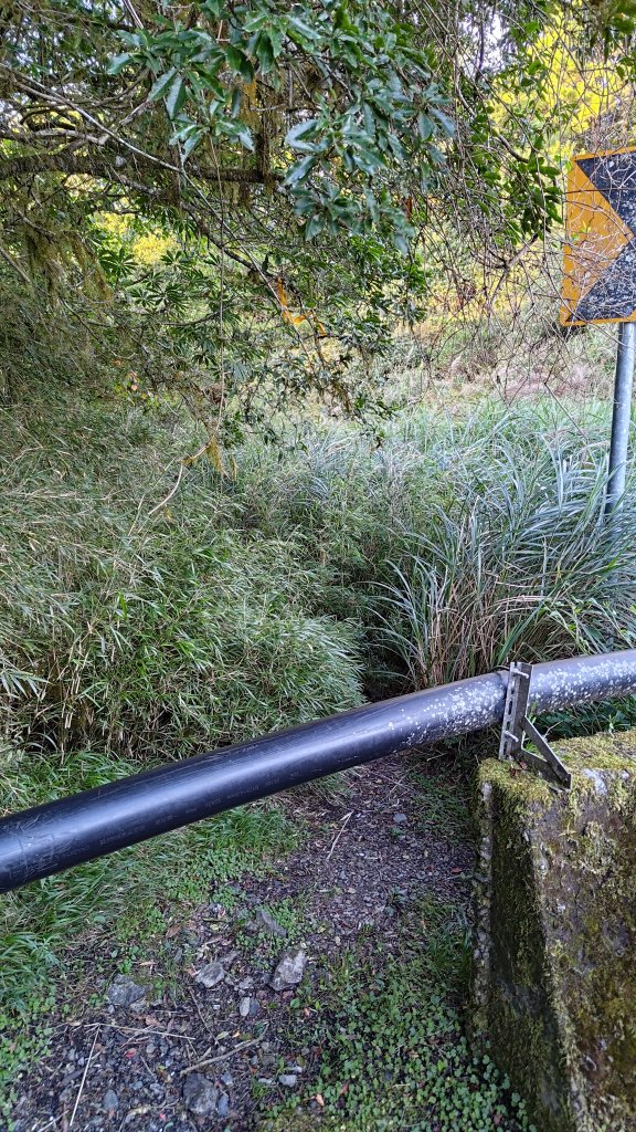 觀雪縱走_2918123