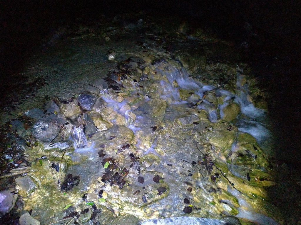 【花蓮縣秀林鄉】屏風山(單攻)_1231938