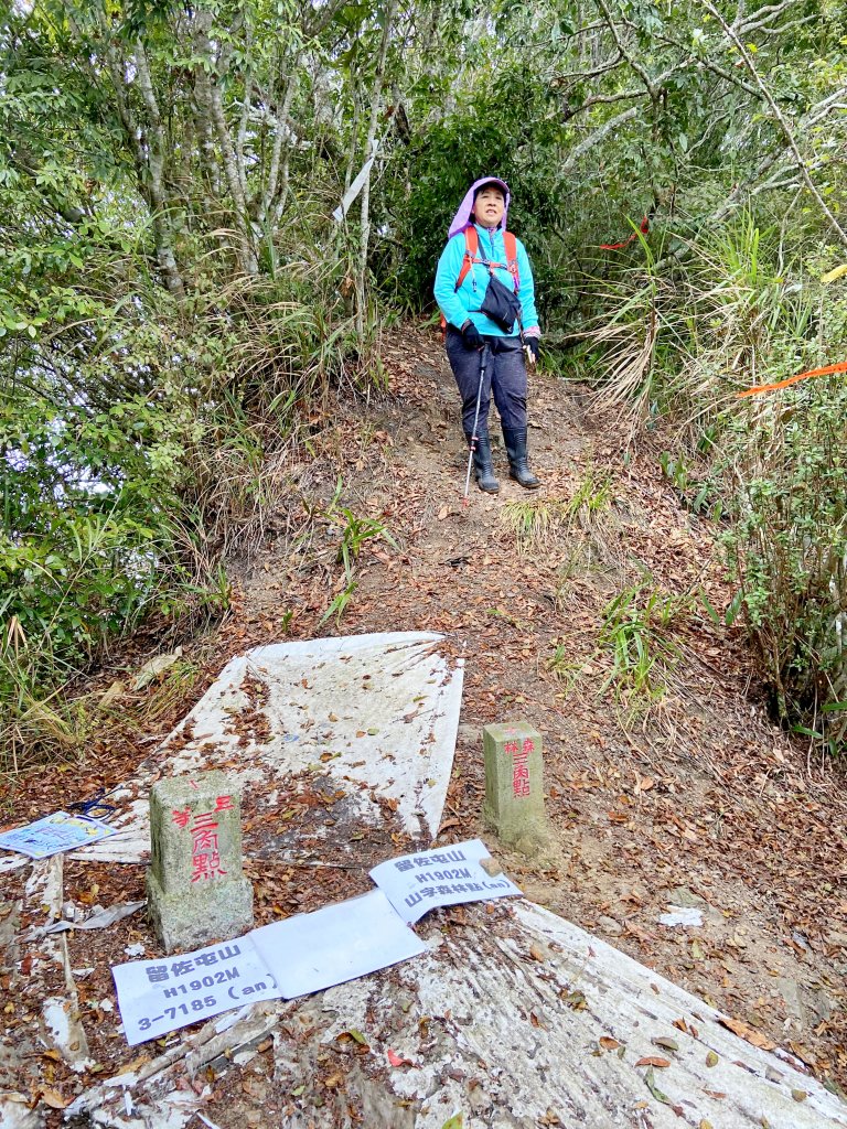 南橫小關山林道登留佐屯.小斯拉巴庫美瓏山_1233424