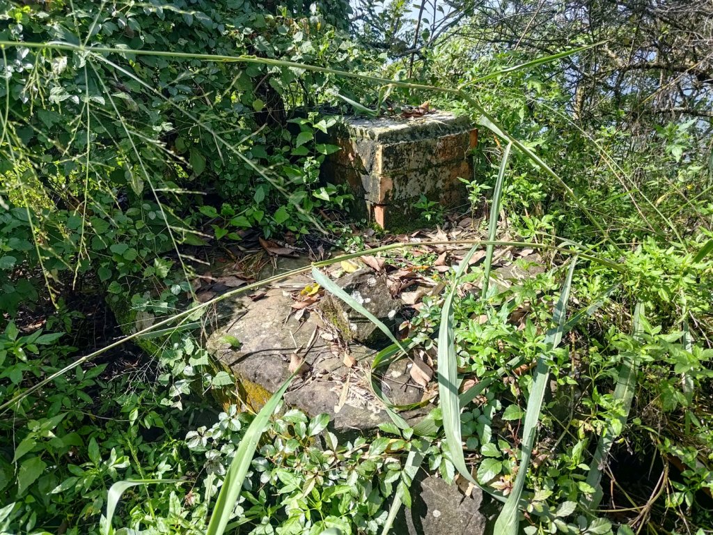 烏山山系北北段六阿縱走_2649478