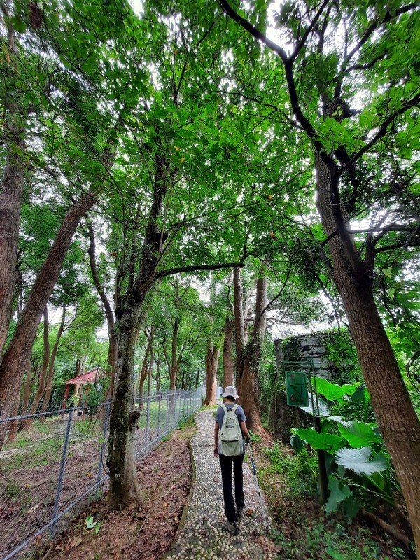 《台中》后里鳳凰山觀音山步道O巡0830_1083674