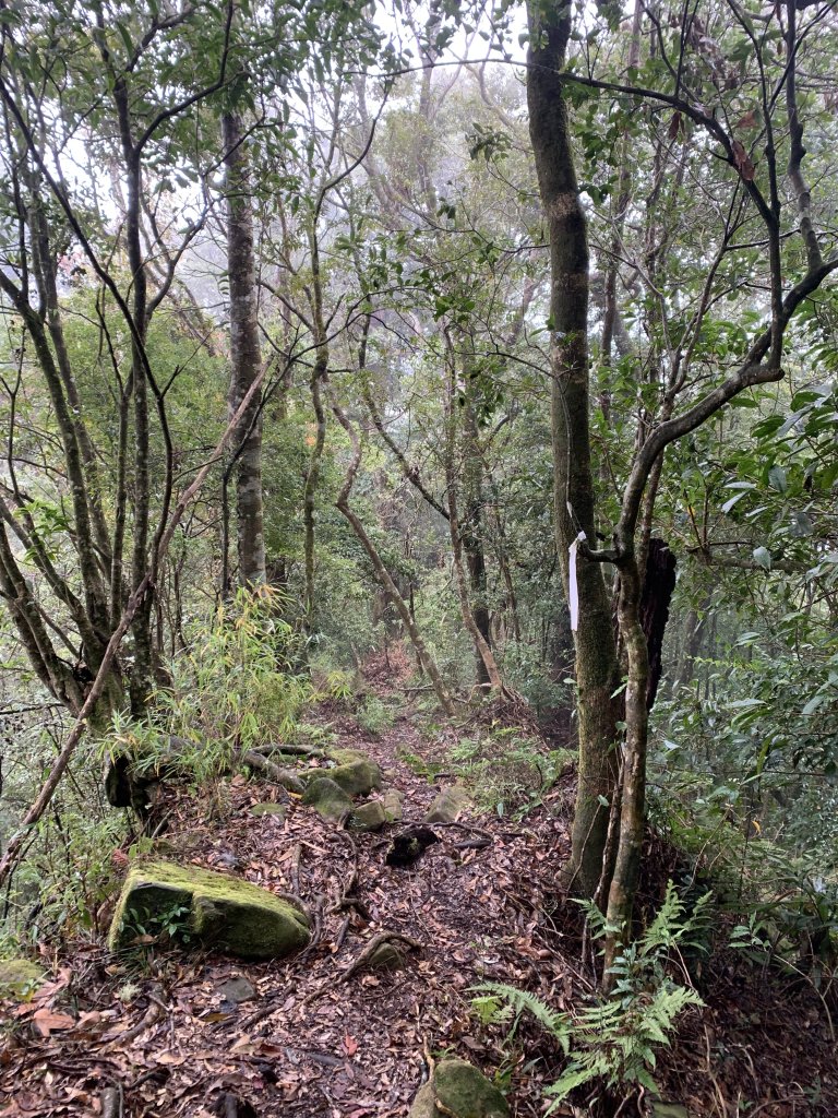 20251220嘉義凸龜山-芙蓉山-天福山_2973817