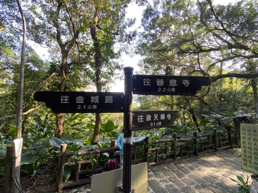 2025微笑山線大縱走尋寶集章任務-Ep.04【天上山系】望月亭桐花段｜石門內尖山東峰 ×石門內尖山_2979068