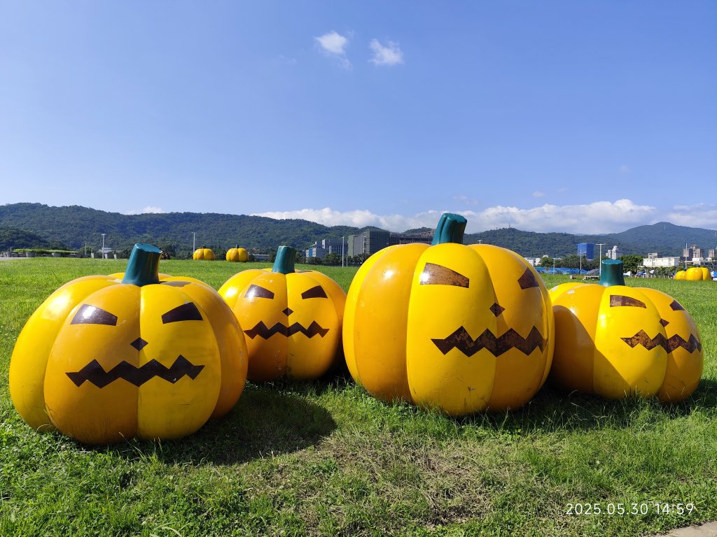 大佳、迎風、觀山河濱公園 (基隆河右岸、左岸)_2800091