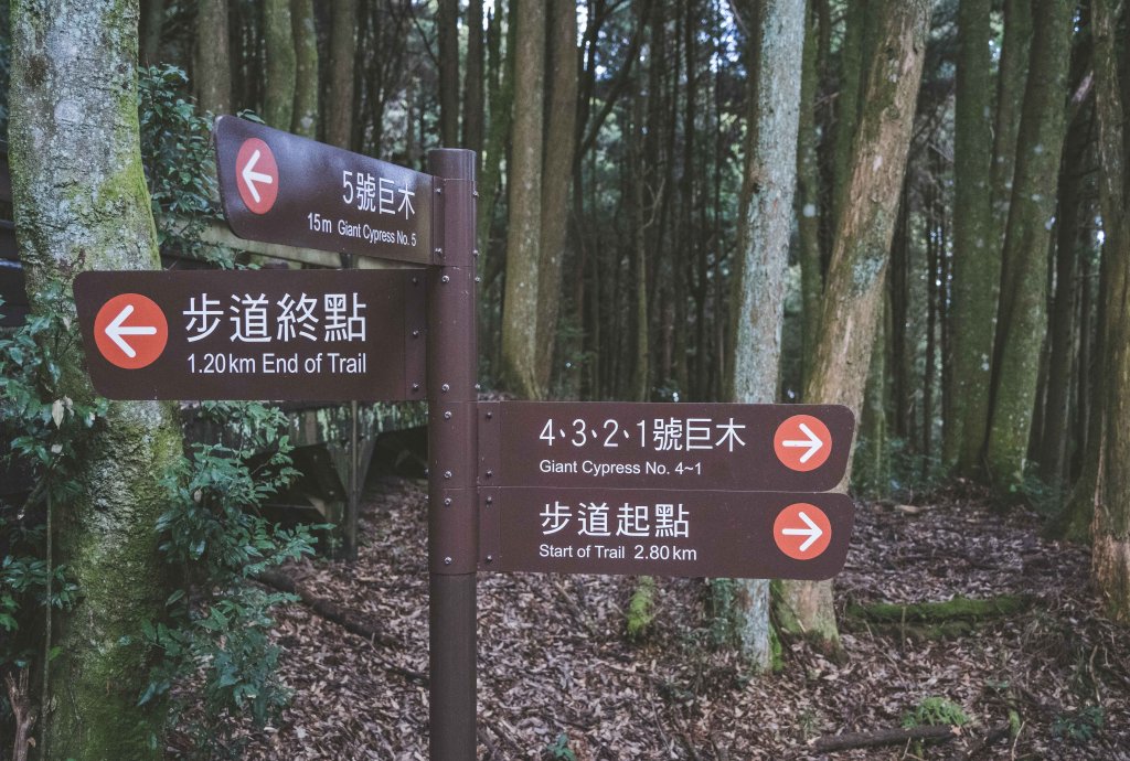檜山巨木森林步道_1177164