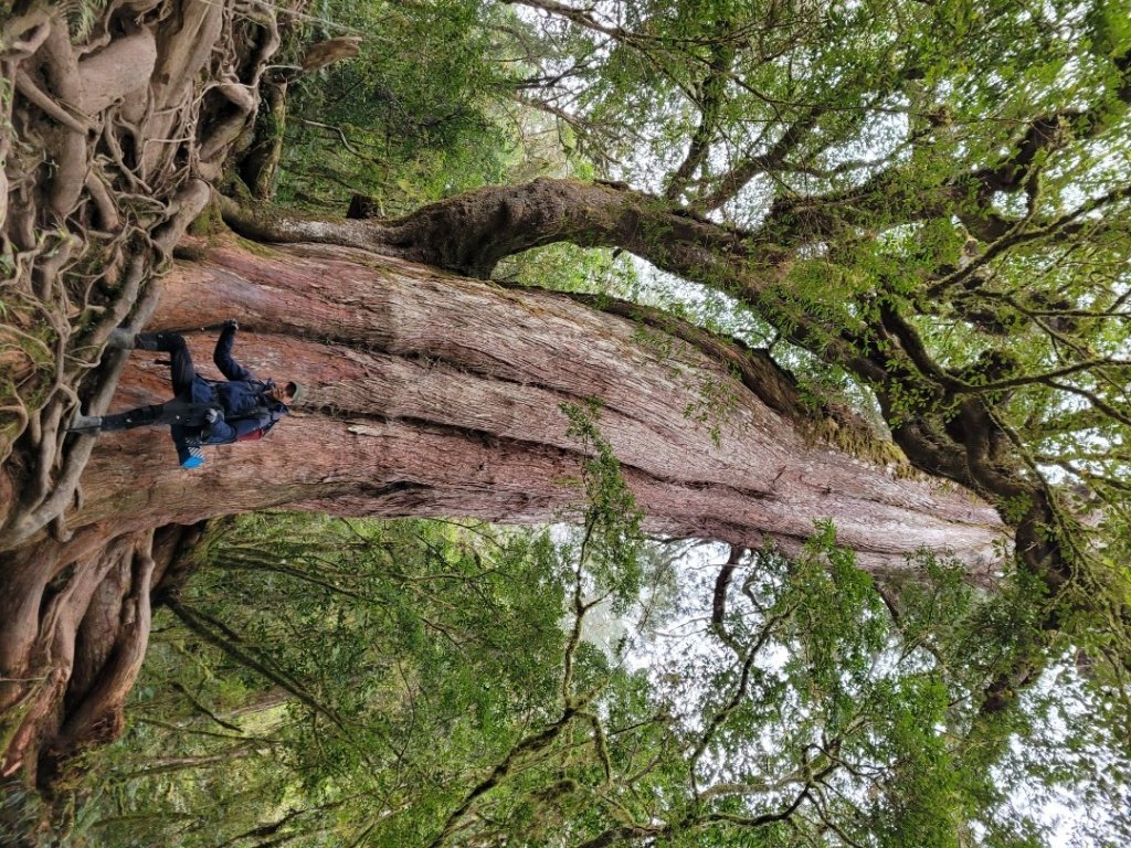 加羅湖、加羅山_1321848
