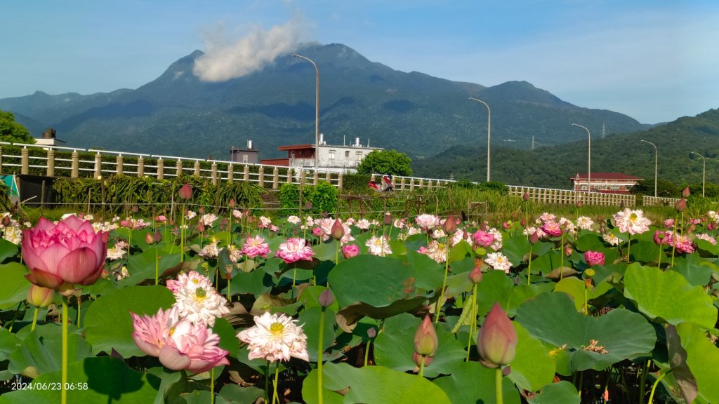天龍國阿伯的日常-雲山水花鳥蝶 6/23_2532519