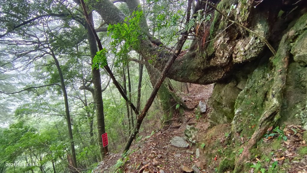 大霸群峰（大霸尖山、小霸尖山、加利山、伊澤山）_1490545