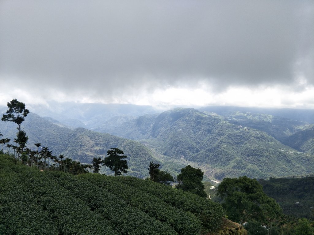嘉義百大步道：桃荀古道與大尖山_1414692