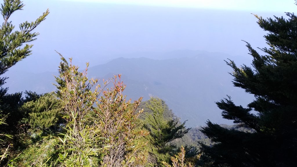 第二度北大武山一日遊_1339029