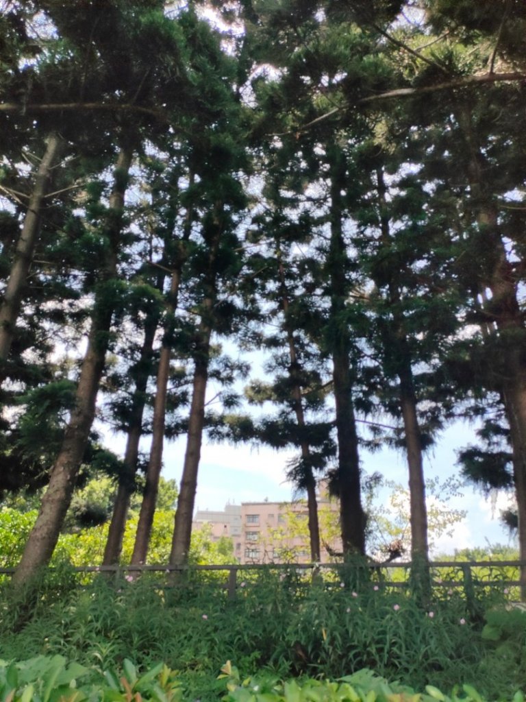 ［ 健康大穀東］（7~8）：［中正紀念堂+象山公園］（2023/7/20）_2236532