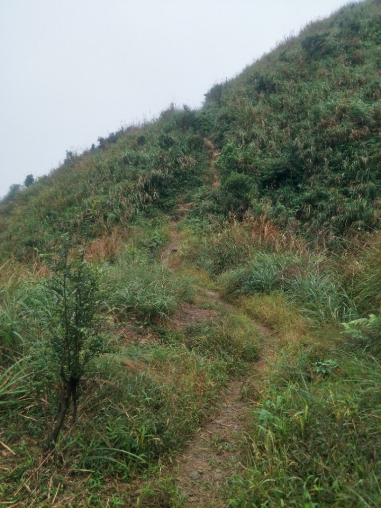 燦光寮登山步道+無緣之墓登山步道(貂山古道_1519410