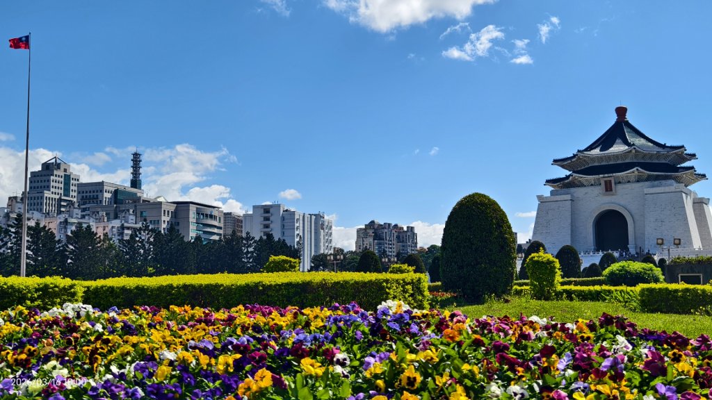#自由廣場 #大安森林公園 #繡球花 #杜鵑 3/16封面圖