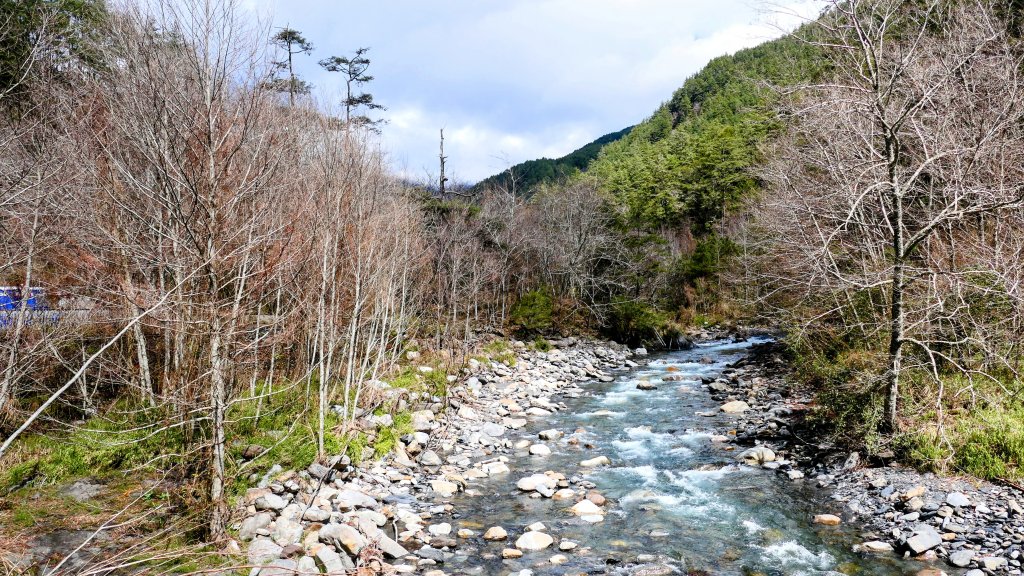 《踏莎行・武陵山櫻》_2712506