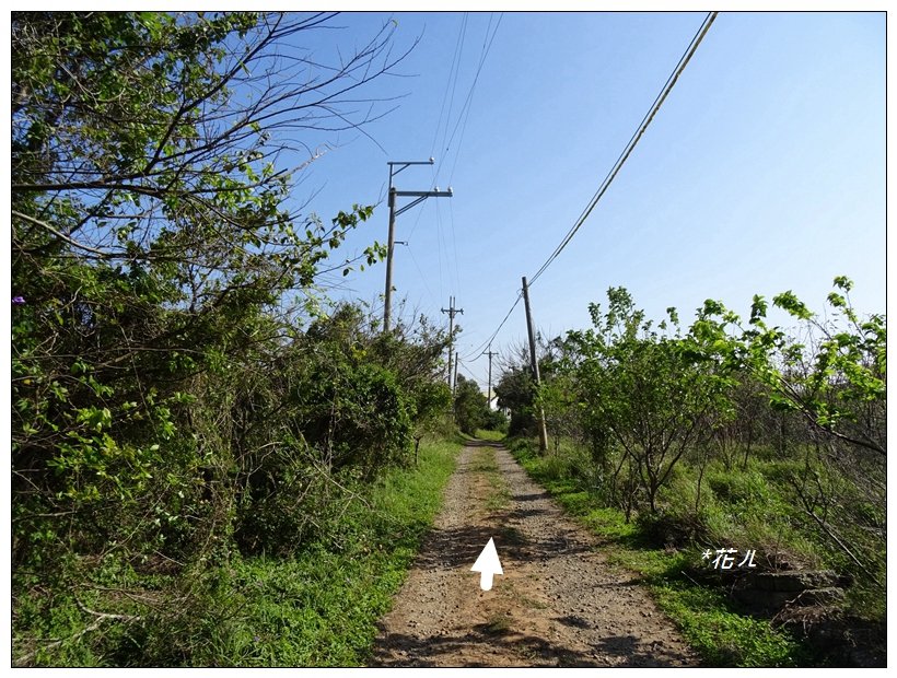  大甲/鐵砧山(小百岳)_819481